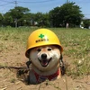 酒と豚バラの日々
