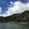 シーソー