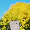 haruoRED
