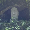 苔と花
