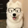 リン