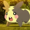 24
