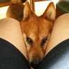 ヒロアキ