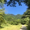 がーじ