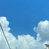 7ナナ