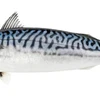 Mackerel777