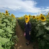 で