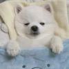 報われたい