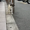 ケツ先入店