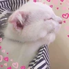 TomokoU
