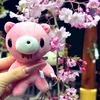 へららちゃん