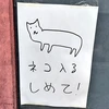 あさの