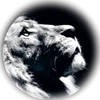 userS55uunAVUIL