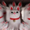 ハタケ