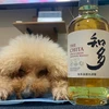 ユーミン