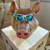オーガポン