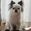光