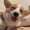 いも太郎