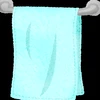 Towelie