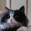 なっちゃん