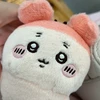 ゆも