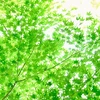 みずいろ