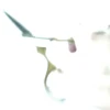 泥み