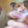 ゆな