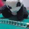 来世はパンダ希望の一般会社員