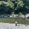hirame0621