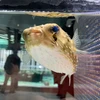 りょうまん