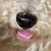 湯
