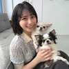 たいせい