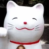 しろとも