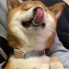 はなげ