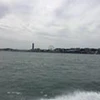 ペイ