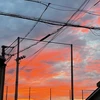 ミタ