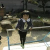 sheeta