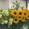 芋