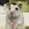 リク