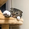 にしおか