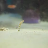 れれれ