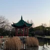 まる水