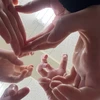 のんのん
