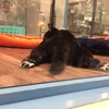 りくと