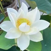 秒針