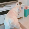 りの