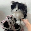 さくらい