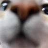 kazuppi6926