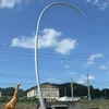 関根毅